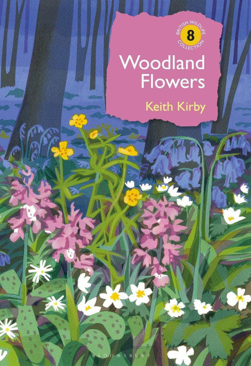Woodland Flowers by Keith Kirby