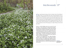 Load image into Gallery viewer, Woodland Flowers by Keith Kirby