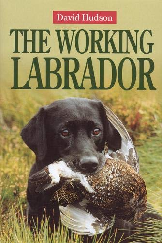 The Working Labrador