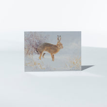 Load image into Gallery viewer, Vintage Game Conservancy Trust Postcards (10 per pack)