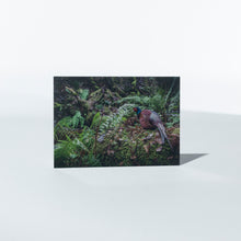 Load image into Gallery viewer, &#39;Game &amp; Gundogs&#39; Notecards by Rachel Foster
