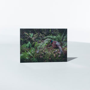 'Game & Gundogs' Notecards by Rachel Foster