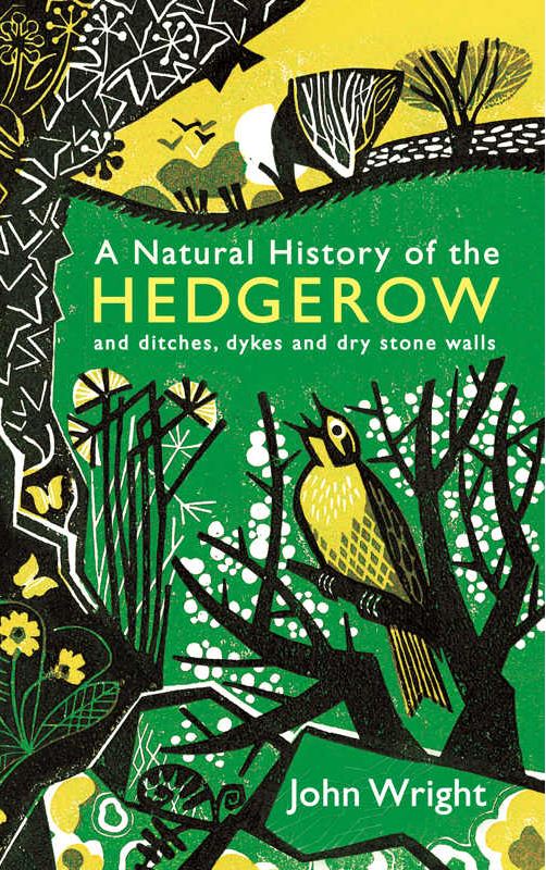 A Natural History of the Hedgerow: and ditches, dykes and dry stone walls