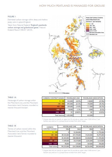 GWCT Peatland Report 2020