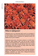 Load image into Gallery viewer, The Moorland Balance - Second Edition