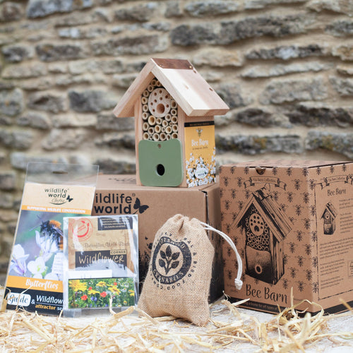 For the Love of Bees Gift Bundle
