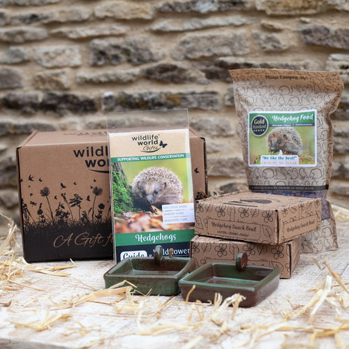 For the Love of Hedgehogs Gift Bundle