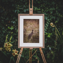 Load image into Gallery viewer, Glorious Grouse - Photographic Print by Rachel Foster