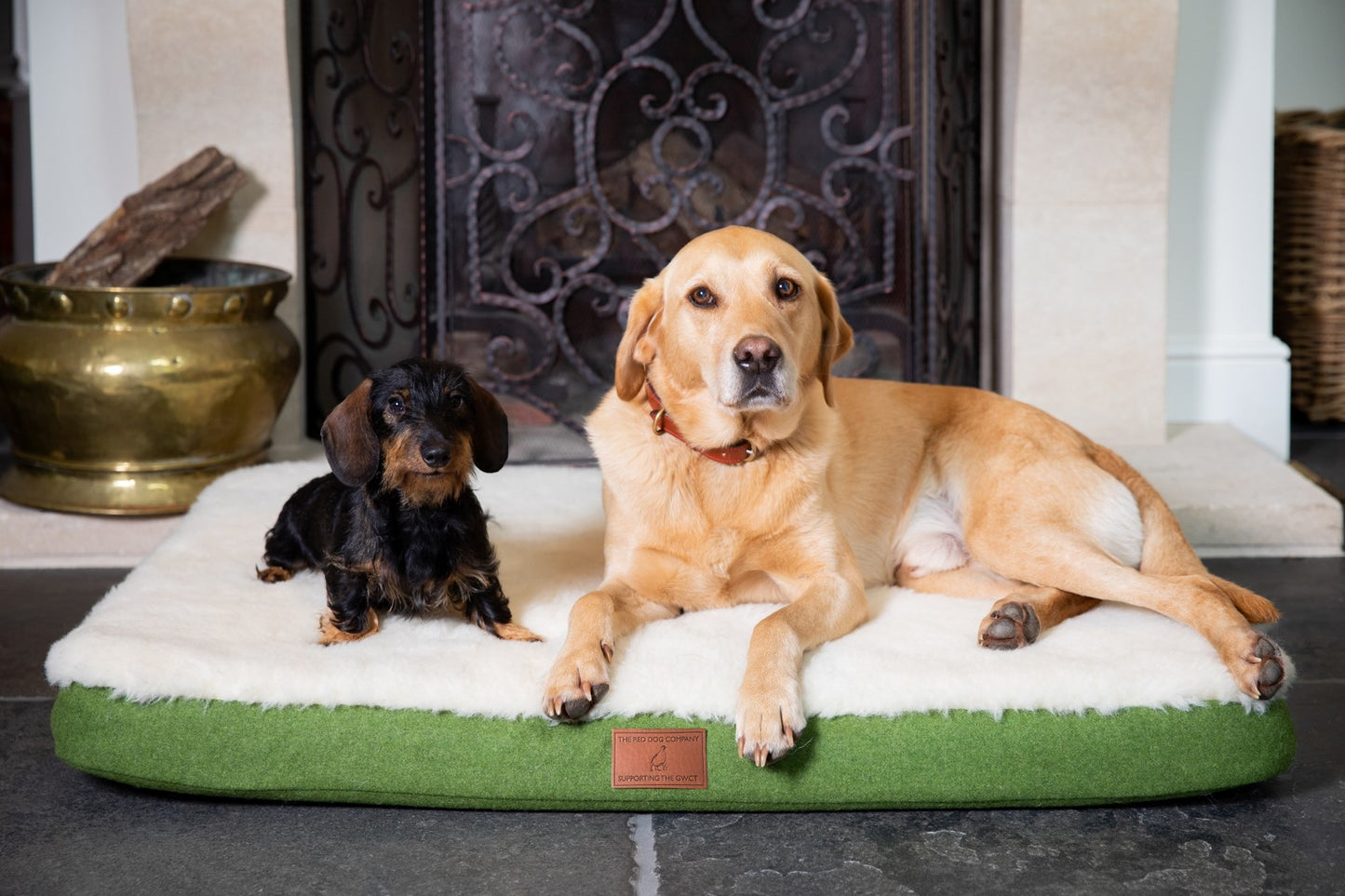 The Red Dog Company & GWCT Dog mat