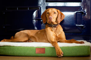 The Red Dog Company & GWCT Dog mat