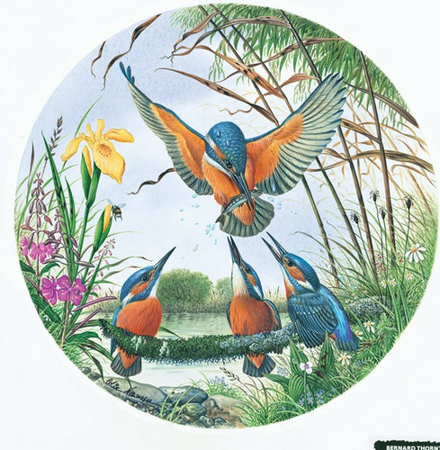 Kingfisher Family Circular 500 Piece Puzzle