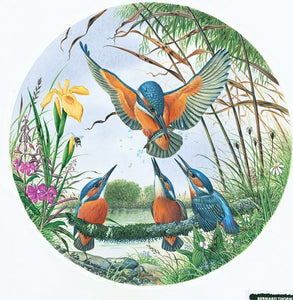 Kingfisher Family Circular 500 Piece Puzzle