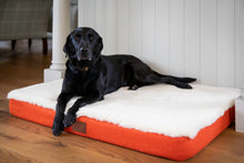 Load image into Gallery viewer, The Red Dog Company &amp; GWCT Dog mat