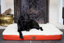 Load image into Gallery viewer, The Red Dog Company &amp; GWCT Dog mat