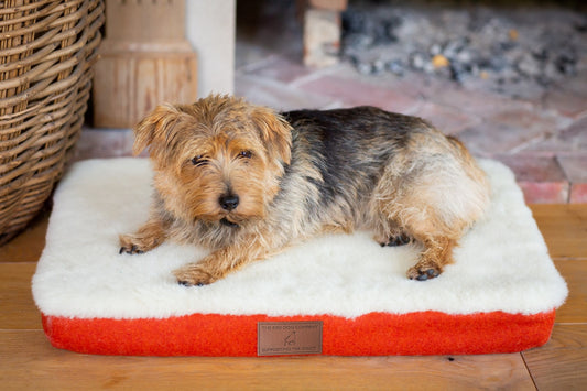 The Red Dog Company & GWCT Dog mat