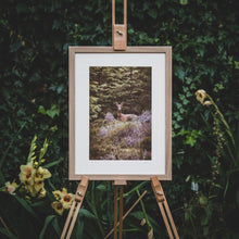 Load image into Gallery viewer, Roe Doe - Photographic Print by Rachel Foster