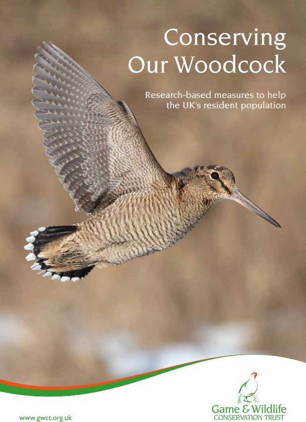 Conserving Our Woodcock