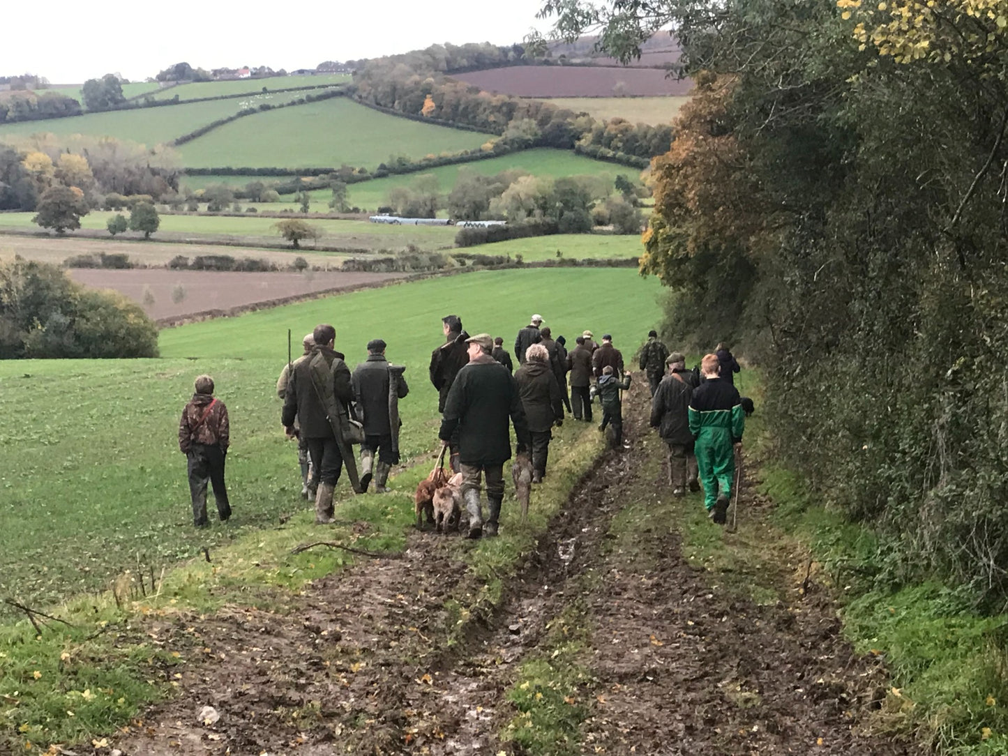 GWCT Premium Membership - Special Offer