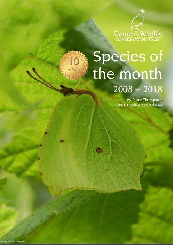 Species of the Month 2008-2018 eBook