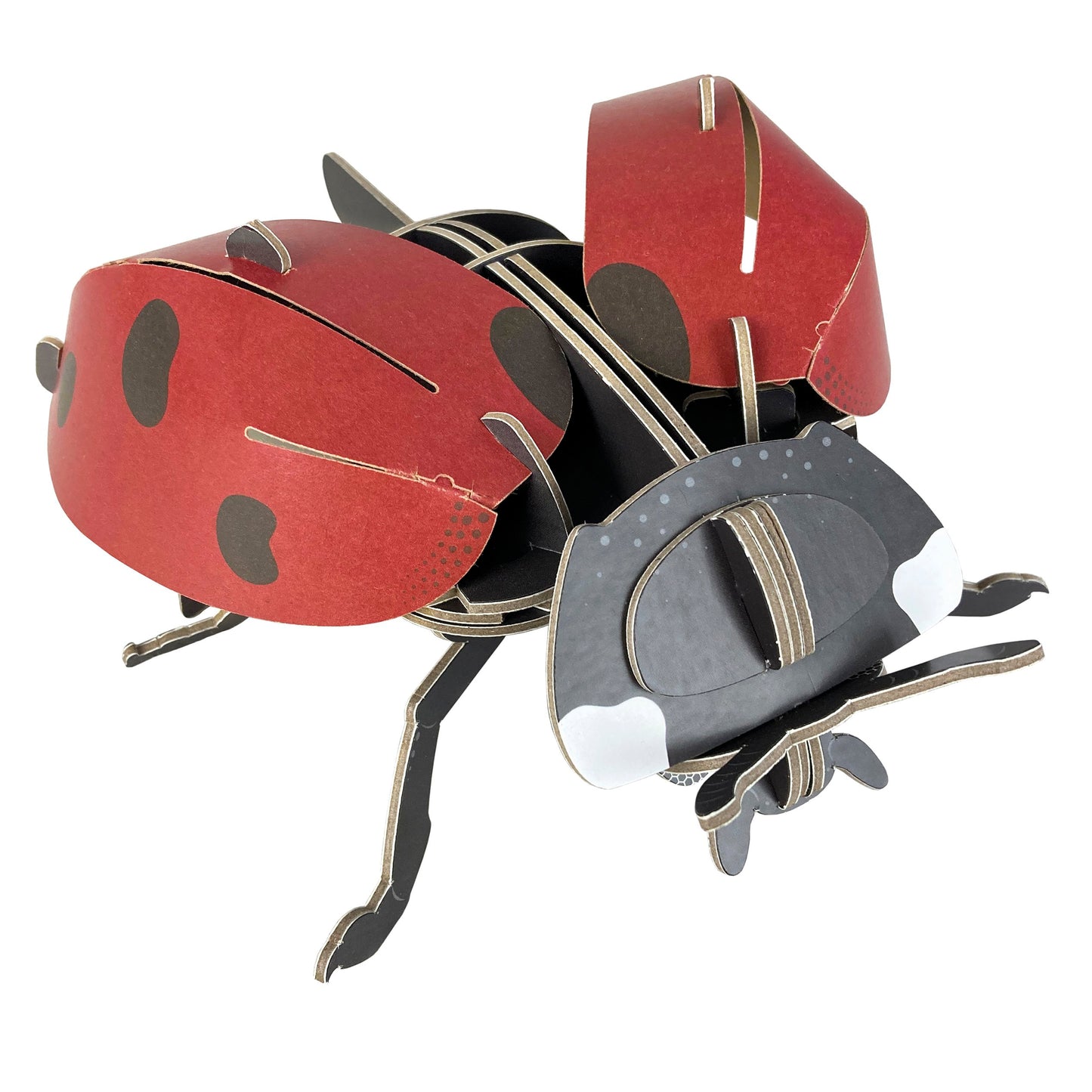 Build Your Own Ladybird