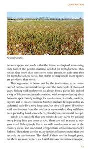 The Forager's Calendar - A Seasonal Guide to Nature’s Wild Harvests