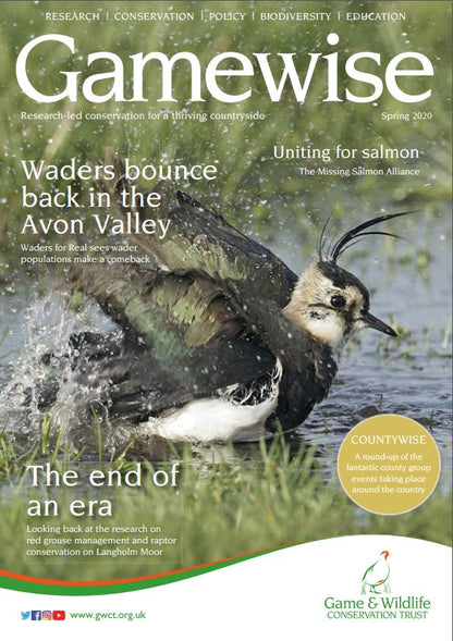 Gamewise Magazine - Spring 2020 - eBook