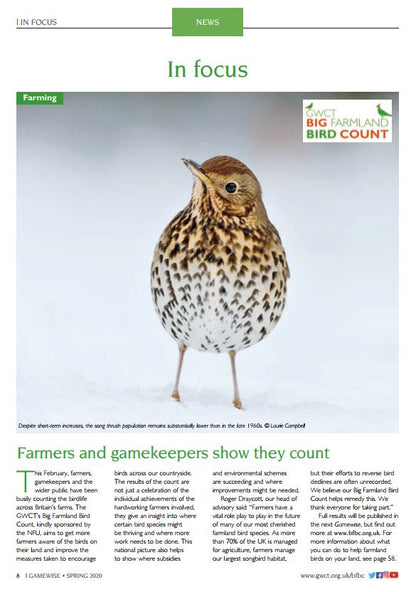 Gamewise Magazine - Spring 2020 - eBook