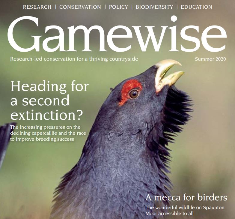 Gamewise Magazine - Summer 2020 - eBook