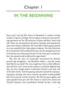 A Natural History of the Hedgerow: and ditches, dykes and dry stone walls