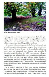 A Natural History of the Hedgerow: and ditches, dykes and dry stone walls