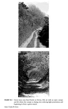 Load image into Gallery viewer, The Ecology of Hedgerows and Field Margins
