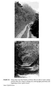 The Ecology of Hedgerows and Field Margins