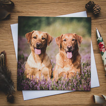 Load image into Gallery viewer, Gundogs Greetings Cards Set by Rachel Foster