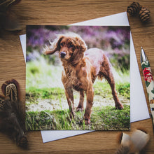 Load image into Gallery viewer, Gundogs Greetings Cards Set by Rachel Foster