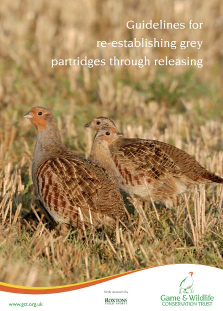 Guidelines for re-establishing grey partridges through releasing - ebook