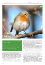 Load image into Gallery viewer, Species of the Month 2008-2018 eBook