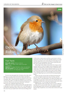 Species of the Month 2008-2018 eBook