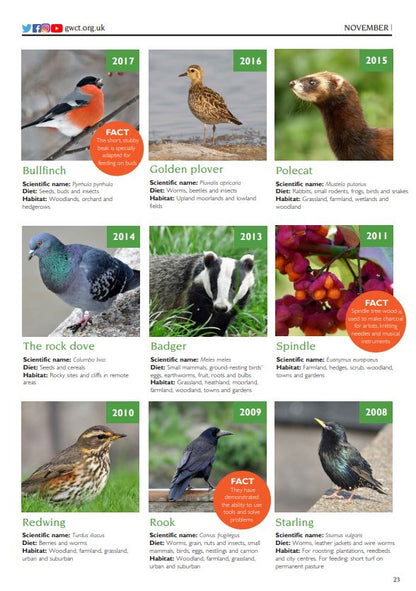 Species of the Month 2008-2018 eBook
