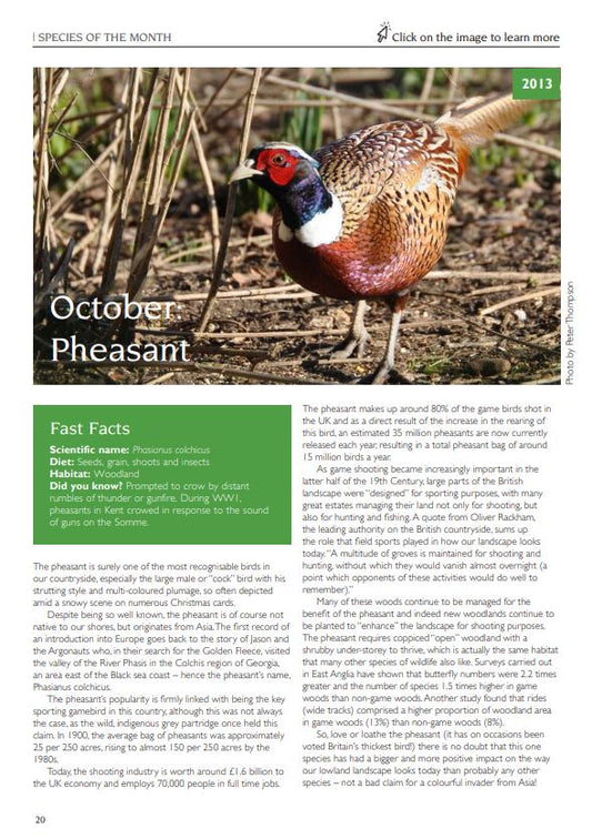 Species of the Month 2008-2018 eBook
