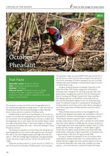 Load image into Gallery viewer, Species of the Month 2008-2018 eBook