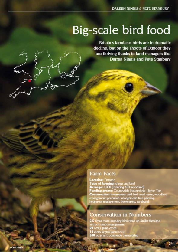 Working Conservationists - Issue 2 - eBook